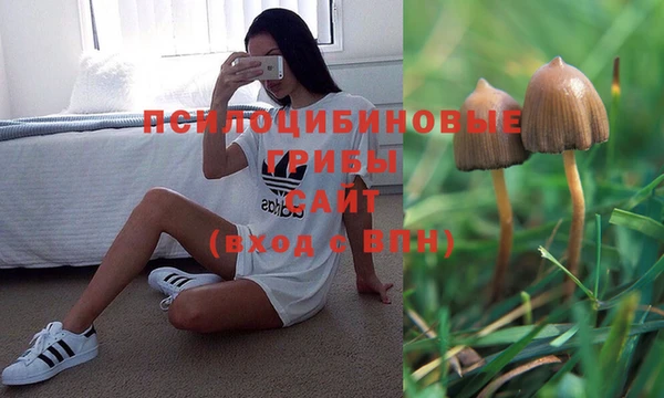 apvp Арсеньев