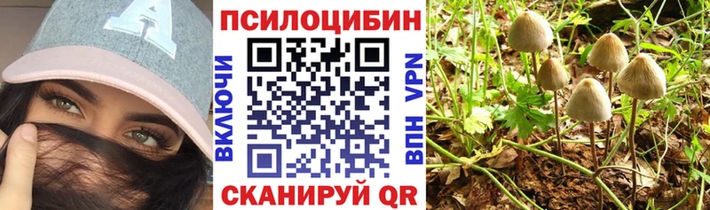 MEGA ССЫЛКА  Ветлуга  Псилоцибиновые грибы GOLDEN TEACHER 
